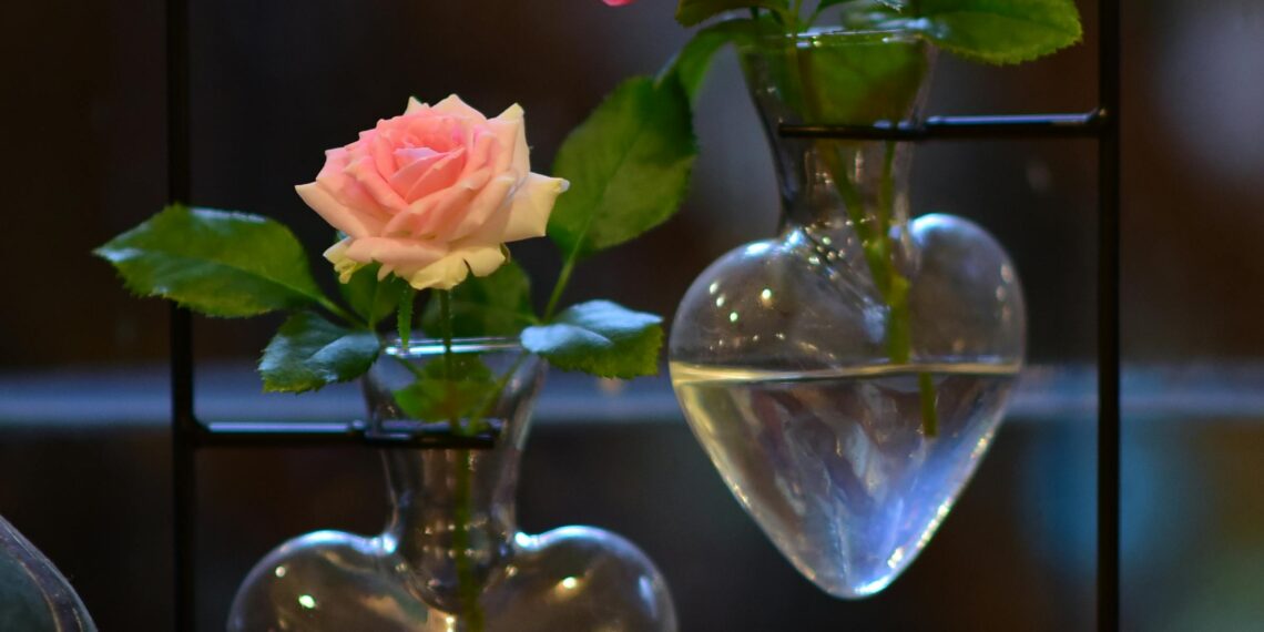 Yasak / Sophia Jamali Soufi