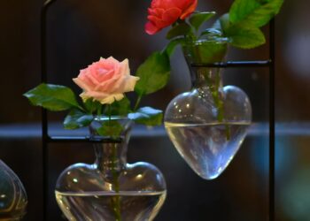 Yasak  / Sophia Jamali Soufi