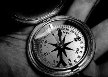 Yönü Kayıp Pusula – Berfin Yoldaş