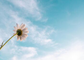 Nefha / Beyhan Aslanata