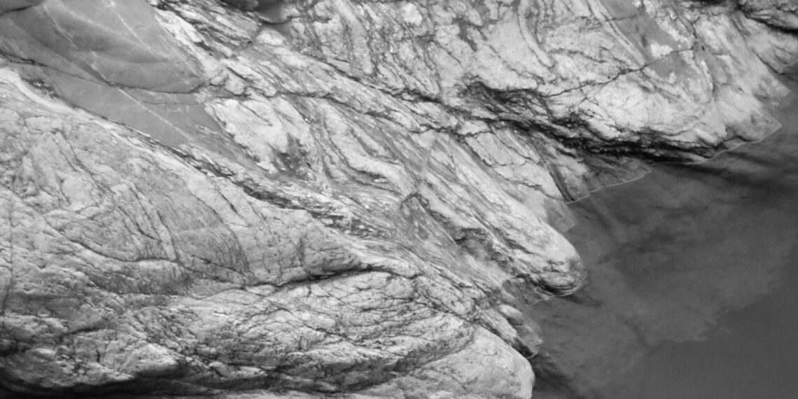 Fenris / Birgül Karagöz