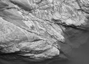 Fenris / Birgül Karagöz