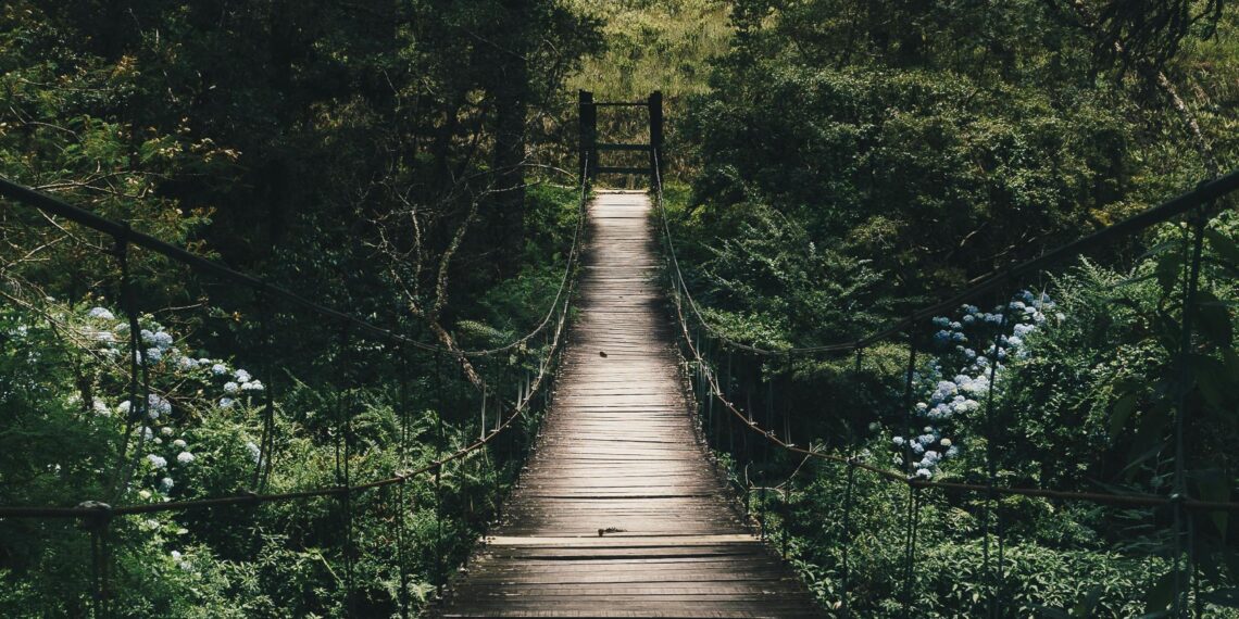 Yaktılar / Ayfer Kayaaltı