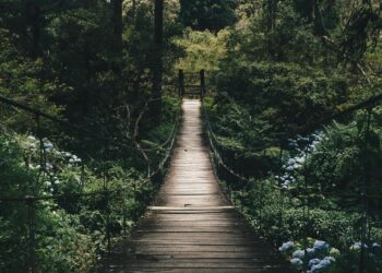 Yaktılar / Ayfer Kayaaltı