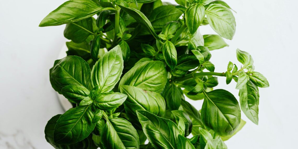 Uzun Hikaye Kısa Şiir / Su Sesim Şahin