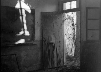 Agamemnon’un Maskesi ve Kırık Aynalar