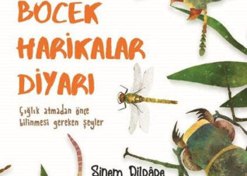 Böcek Harikalar Diyarı: Doğayı Keşfe Çıkanlar İçin Bir Başucu Kitabı (Sinem Dildade)/ Mehmet Dedeoğlu