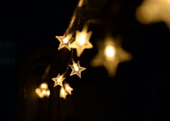 Göğsüme Düşen Yıldız / Ayfer Kayaaltı