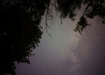 Karanlığa Masal / Yunus Karakoyun