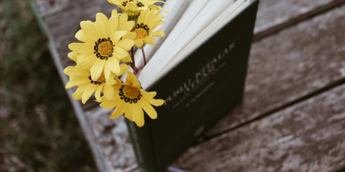 Aşkın Rıza İle Gerek / Ela Leyla