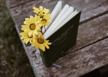 Aşkın Rıza İle Gerek / Ela Leyla