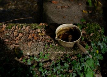 BOŞ TENCERE(Filistinli Çocuklara) / Eyüp Toru