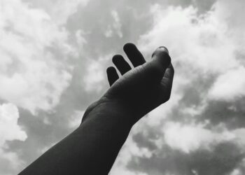 Düşlerin Şairi, Düşlerin Hırsızı /  Ümit Ahmet Duman