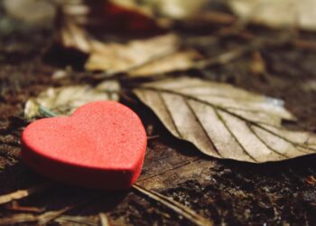 Küller Arasında / Derya Kılınç