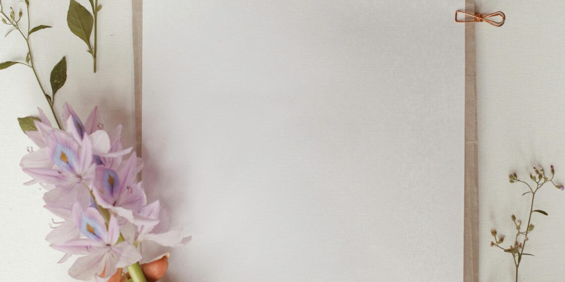 Boş Kağıt / Sibel Atapek