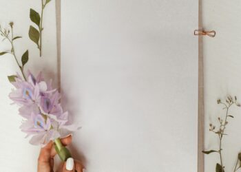 Boş Kağıt / Sibel Atapek