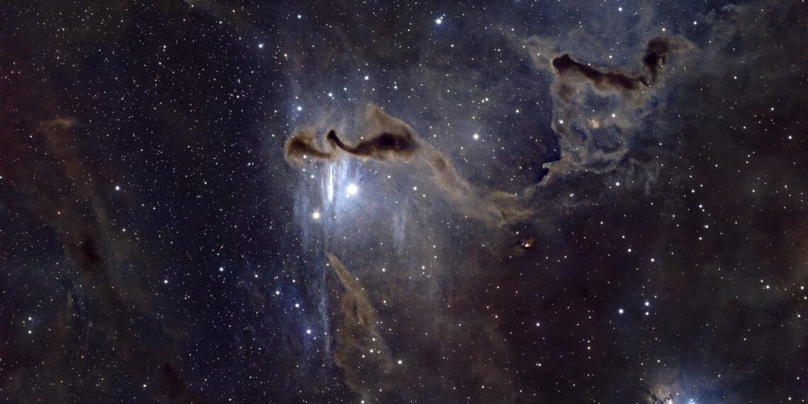 Aşiyan / Hatice Yıldırım