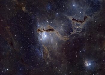 Aşiyan / Hatice Yıldırım