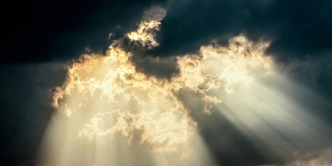 Göbek Bağı / Ali Gürler