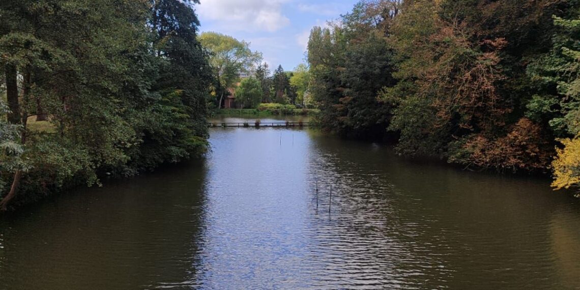 ŞİİR İÇİNDE ŞİİR