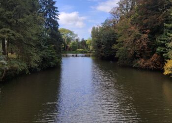 ŞİİR İÇİNDE ŞİİR