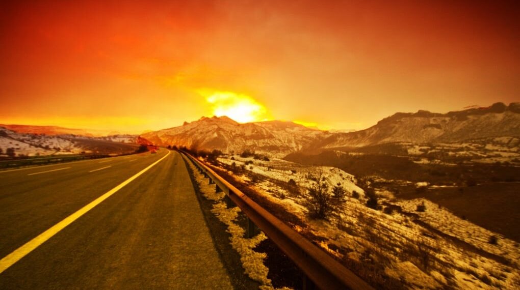 sarı papatya, turuncu güneş ve camgöbeği anılar