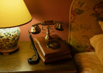 Kalbin Misafiri / Leyla Güven