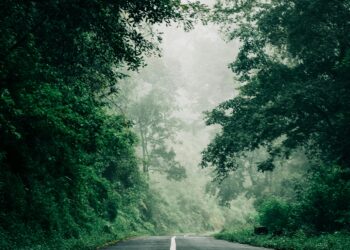 Kendi Yolum / Nevin Yılmaz