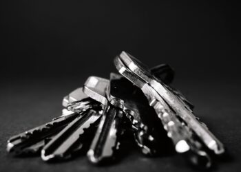 Mavi Kuş / Sinem Yiğit