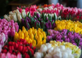 Sevgili Kendim / İlknur Yel