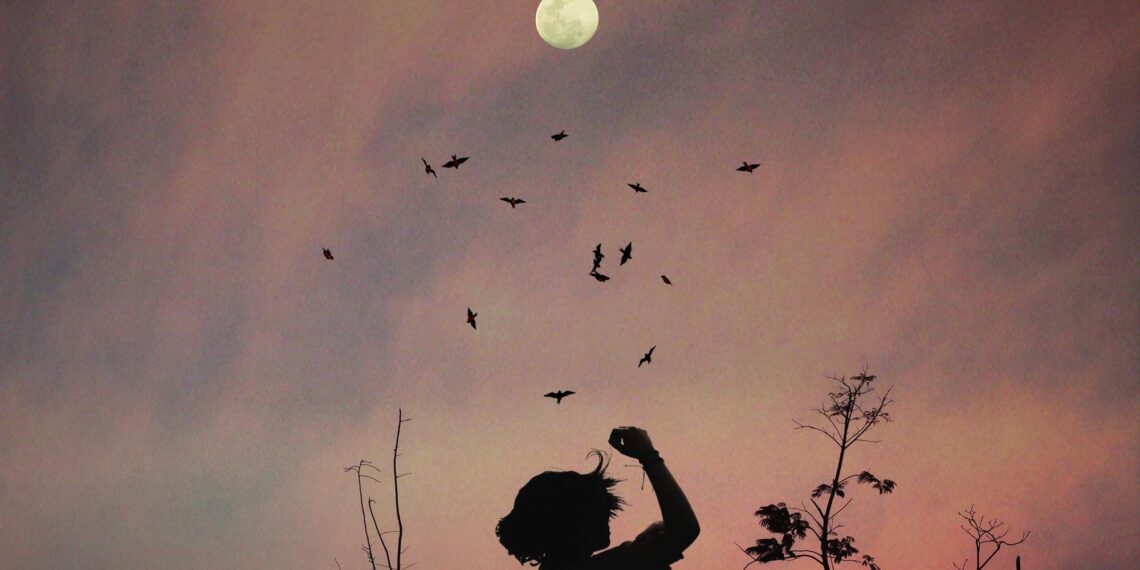 Kime ne vadettim? / Sevde Kapıcıoğlu