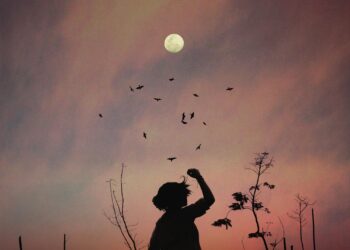 Kime ne vadettim? / Sevde Kapıcıoğlu