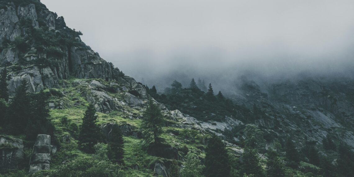 Bir Hayal Ördüm / Ali Gürler