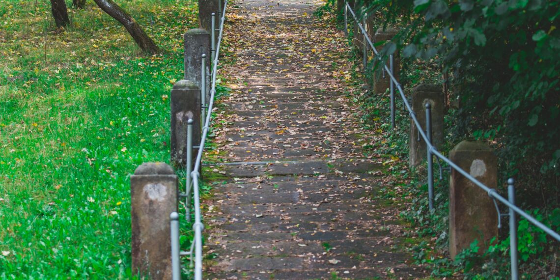 Yağmur ile Söyleşi / Melike Yurtsever