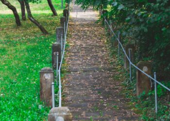 Yağmur ile Söyleşi / Melike Yurtsever