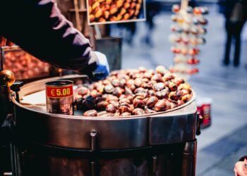 Kestane / İlknur Yel