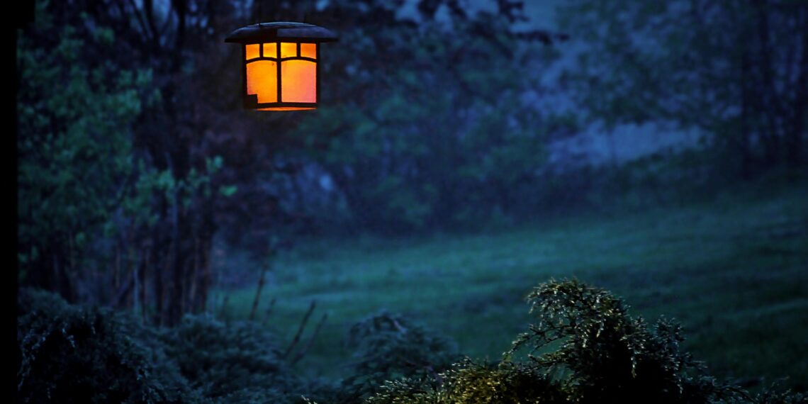 Geceleyememe Kredisi / Behçet Koray