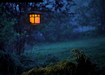 Geceleyememe Kredisi / Behçet Koray