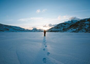 Biz ve Ankara / Nil Işıl