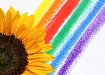 İçimdeki Gökyüzü / Ayşegül Işık