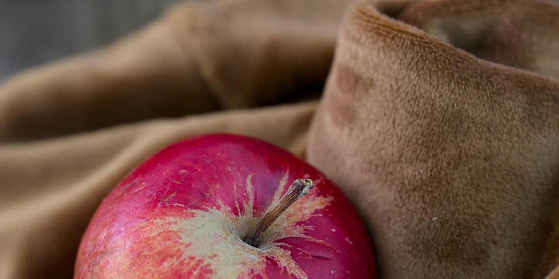 Şahtan Bir Elma Geldi / Nihat Kaçoğlu