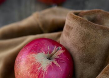 Şahtan Bir Elma Geldi / Nihat Kaçoğlu