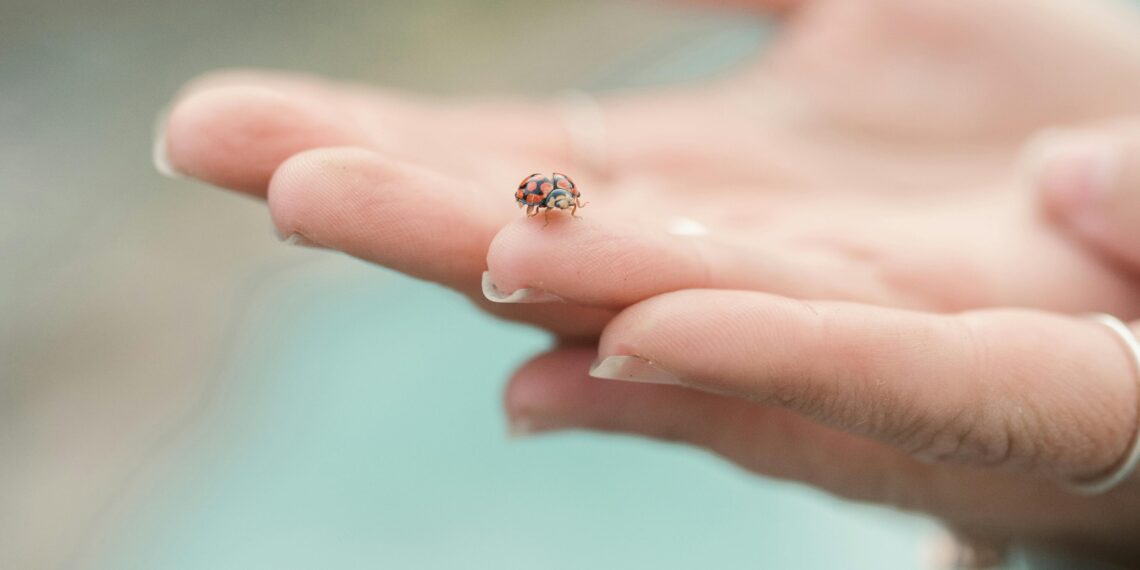 Çocukluğuma Selam / Nazife Özcan