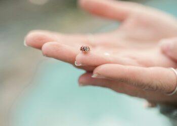 Çocukluğuma Selam / Nazife Özcan