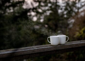 Çayımın Aynasında Ruhum / Gürşan Kocabaş