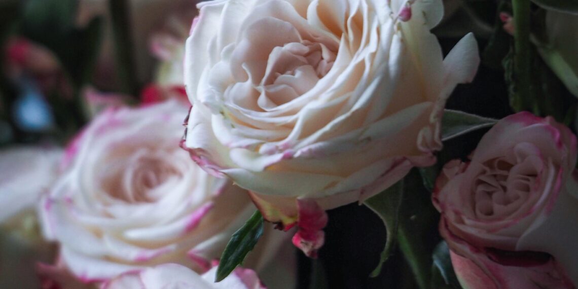 Aşk Üzerine / Ebrar Mülayim