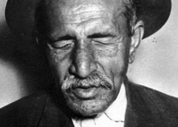 Güneşin Işıklarını Avuçlayan Çocuk: Aşık Veysel / Metin Turan