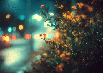 Sessizlikte Büyüyen Duygular / Derya UYGUN CAN