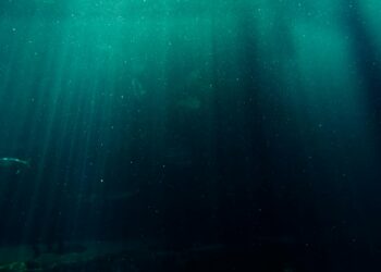 MEVLA’YA VUSLAT EYLEDİM  / Hatice Ertürk