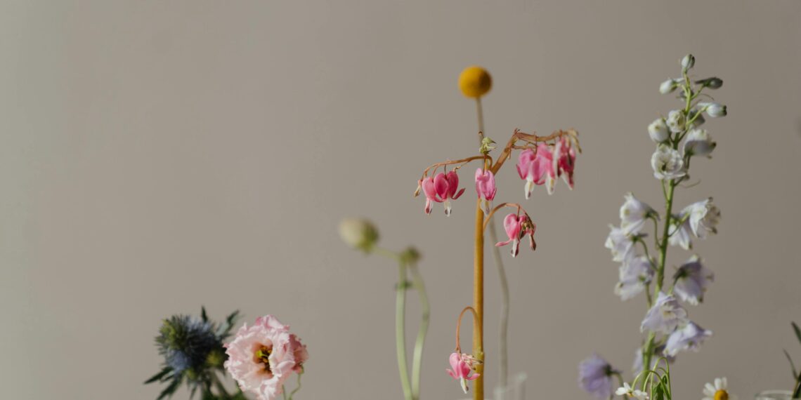 Umma / Sibel Katırcı